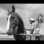 .:s koníkem:.