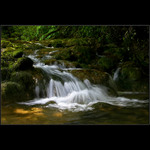 Až se spojíme, bude z nás řeka...