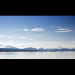 -: R  O  Z  H  L  E  D :-