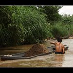 <b>Sand digging</b>