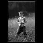 ... ušatá středovka ...