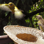 Pozor, kormidlo do leva!