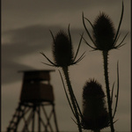 <B>NA ČEKANÉ...</B>