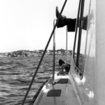 Pohoda na Moonshadow