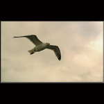 Severomořské imprese I