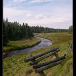Šumava 04