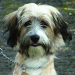 Tak co půjdem už domů?