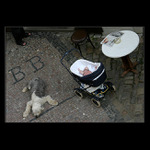 * NA KAMPĚ JE DOBŘE *