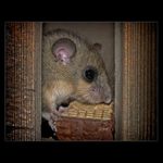 Kdo se skrývá ve tmě