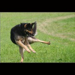 <b>KUNG-FU Legenda pokračuje!</b>