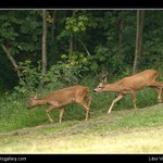 Jak to asi dopadne...?? ;-)