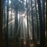 Slunce přichází...