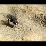 Nemáš nějakej mls?..