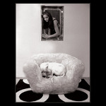 <b> .:: snění ::. </b><br>