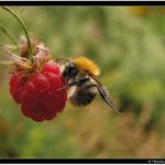 papapadáááááááám :-)