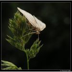 Je to se mnou nahnuté :-)