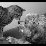 Láska si nevybírá