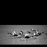 <b>:: Rozhodnutie ::</b>