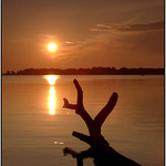 Večer na Kráľovej II