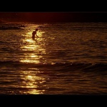 poslední nostalgická ...