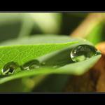 věštění z křišťálové koule