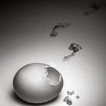 O vzniku druhů aneb co nám zatajil Ch. Darwin