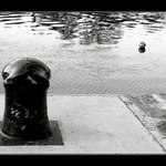 ... příběh o jednom míči ...