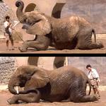 Ze předu i ze zadu....