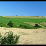 Myjavská pahorkatina