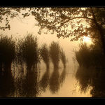 Ráno s ukradeným horizontem