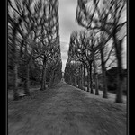 - Jardin des Plantes -