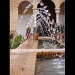 V zahradách v Alhambře