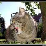 Hmm,bylo to dobrý,ale ještě bych něco zakous