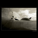<b>... Ku slobode ... </B><br>