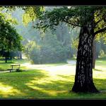 cestou do práce ...