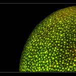 ...zelené slunce...