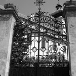 v ceskych budejovicich