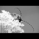 Příjem v pořádku