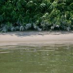 Pieskové pláže na rieke Váh