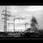 Osud posledního stromu