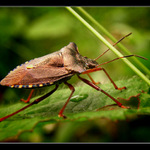 můžu tě obejmout?