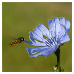 žádám o povolení k přistání :)