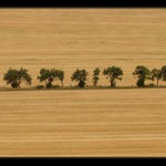 Horizontální krajina