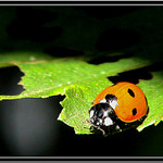 Slunící se sluníčko :)