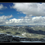 Protrhaná Mrakofka Norská (horská)