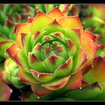 Netřesk se mnou ...