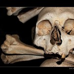 Smrtelně jedovaté!