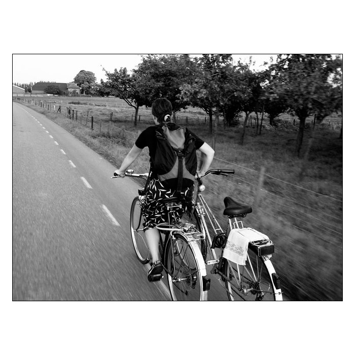 In Motion