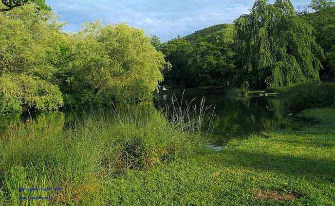 Trenčianske Teplice - jazero 1