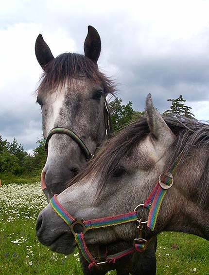 já chci být taky v záběru! :o)